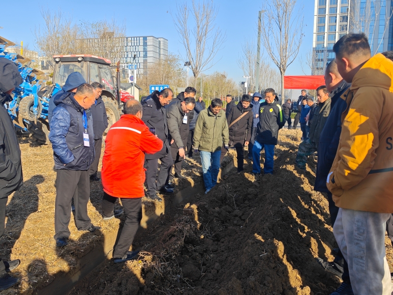 1766021556759008099.jpg 3.jpg